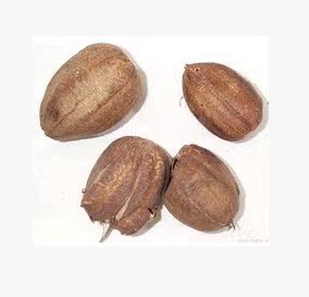 精华中药材 马兜铃/马兜零/马兜铃/臭铃档/500克15元 ￥ 15.0 ￥0.