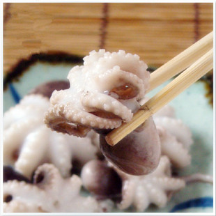 新鲜速冻小章鱼 火锅八爪鱼 烧烤火锅食材 海鲜水产品 200g