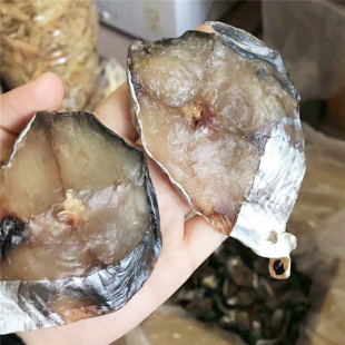 自晒野生马鲛鱼 干海鲜干货阳江特产马胶鱼干干货海产品