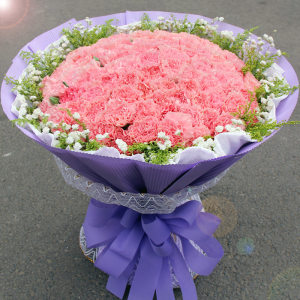 【上海花店康乃馨图片】上海花店康乃馨图片大