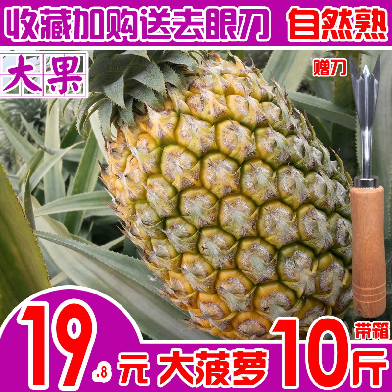 菠萝水果新鲜大菠萝香水菠萝带箱10斤PK泰国手撕凤梨都乐云南菠萝