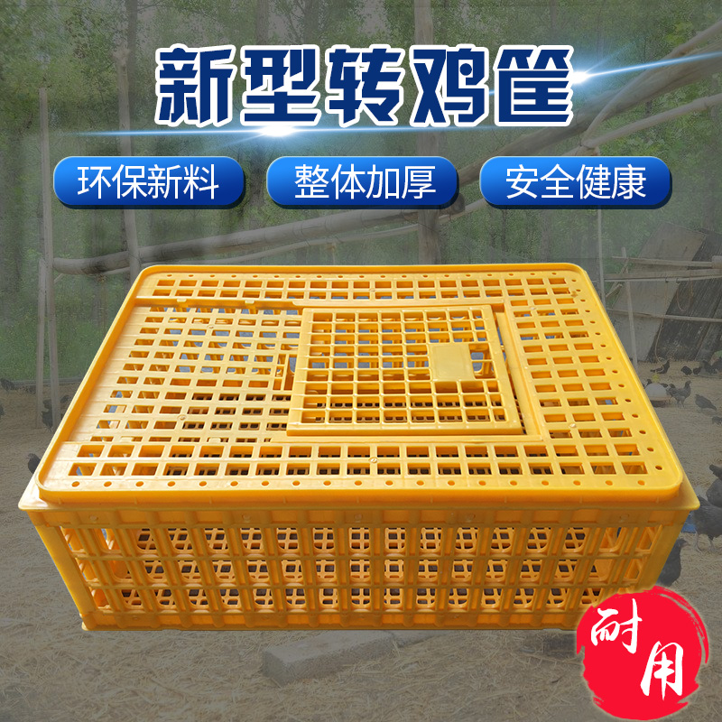 山东男篮坚决保存鲍威尔三位外援合同全面转正邱彪谋划重磅引援