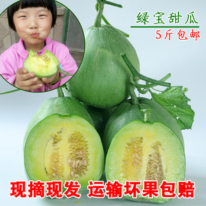 虫虫农场 绿宝甜瓜 小甜瓜 香瓜绿宝石甜瓜 脆瓜