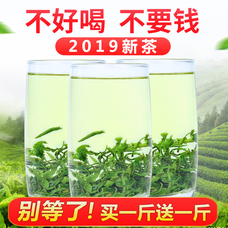 山东 茶叶日照绿茶 2018新茶散装浓香型 春茶 炒青500g 绿茶