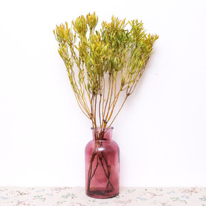 【天松大豆低聚糖300ml300毫升】_天松大豆低