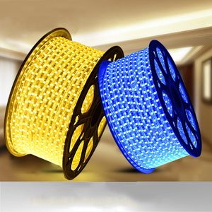 led灯带客厅 吊顶线灯条霓虹灯七彩装饰灯箱照明220v超亮户外变色