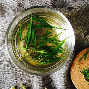 去凉茶火 嫩竹叶花茶 新茶 石竹子茶淡竹叶茶竹叶 20g花草茶