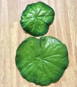 手工荷花荷叶图片