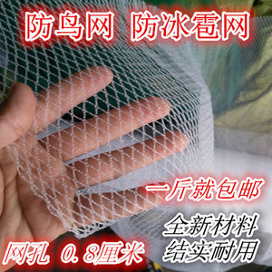 粘鸟网包邮免运费图片