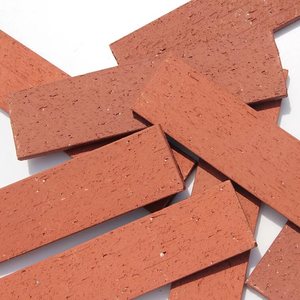 外墙砖瓷砖墙砖劈开砖拉毛别墅砖60*240仿古墙面砖文化石红砖青砖