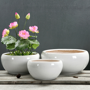 白色水培花盆图片