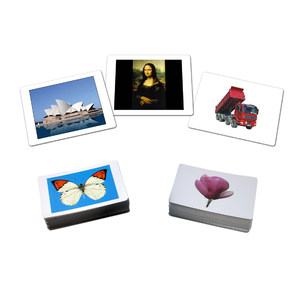 【杜曼闪卡早教卡百科领优】_杜曼闪卡早教卡