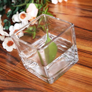 简约大号正方形花瓶玻璃透明桌面摆件水培容器绿萝铜钱草花盆方缸