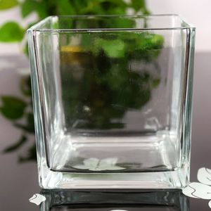 【正方形水培玻璃方缸鱼缸图片】正方形水培玻