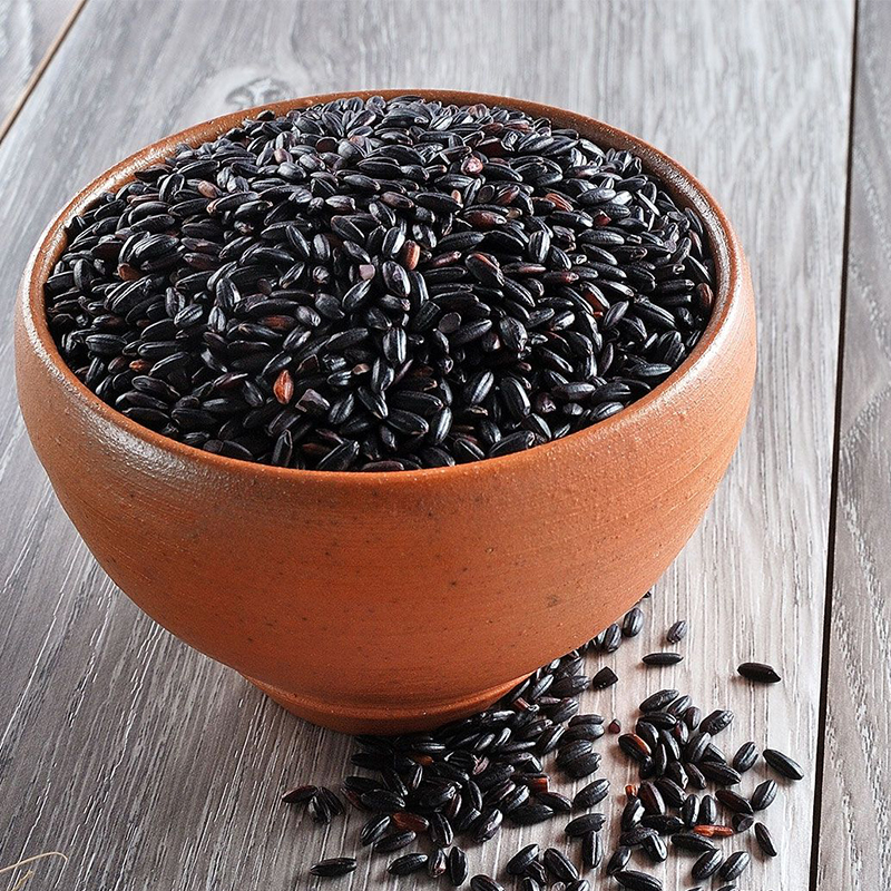 黑糯米黑米 无染色黑香米五谷杂粮放心粗粮黑大米 黑糯米500g