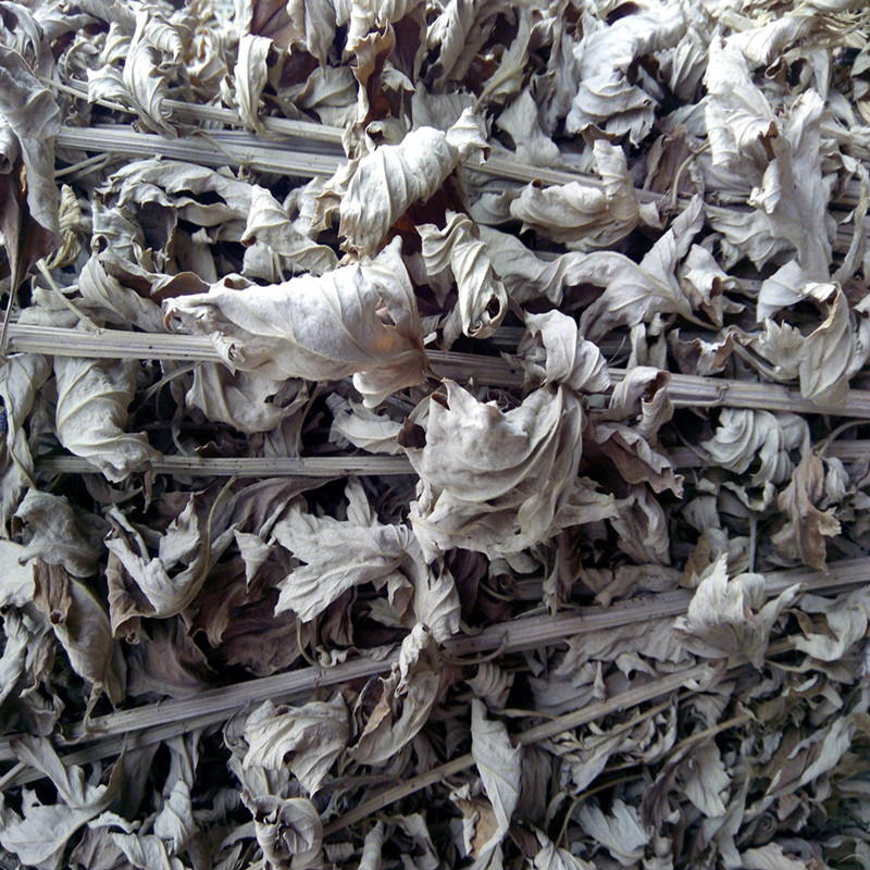 搜索"艾草"的宝贝结果页 - 第4页 - 白菜优选