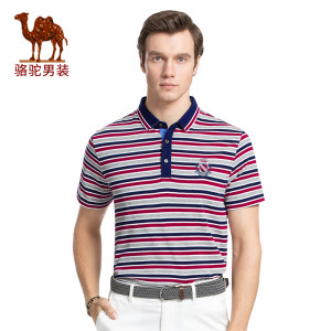 2017夏装新款桑蚕丝品牌短袖t恤男中年大码父