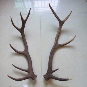 马鹿角原料刀柄图片