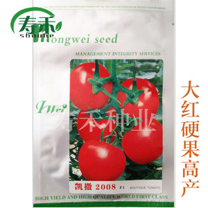 蔬菜种子市场的最新动态解析