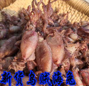 乌贼干乌仔海兔干墨鱼仔海鲜干货一斤包邮新货特级山东特产