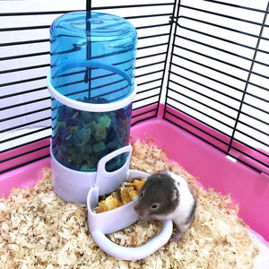 仓鼠用品食盆  span class=h>兔 /span>子荷兰猪刺猬松鼠鸟类仓鼠