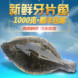 牙片 span class=h>鱼 /span> 新鲜青岛压塌 span class=h>鱼 /span>