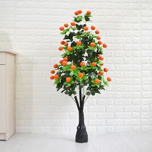 【客厅盆栽橘子价格】最新客厅盆栽橘子价格\/