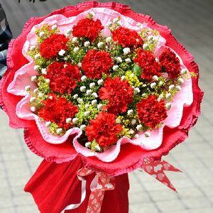 【紅色百合鮮花圖片】紅色百合鮮花圖片大全 - q友網