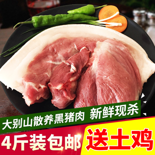 鲜野猪肉图片