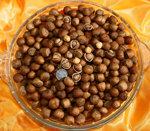 坚果零食东北特产铁岭开原包山野生新水漏大榛子媲美松子 核桃