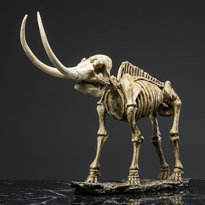 猛犸 span class=h>象 /span>骨头骨架客厅模型摆设复古创意家居样板