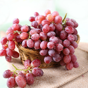 美国进口红提子2斤装精品当季时令有籽葡萄孕妇酸甜新鲜水果包邮