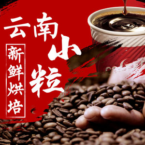 八斗麦 云南普洱小粒 span class=h>咖啡 /span>豆 手冲单品阿拉比 