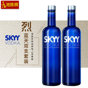 洋酒蓝天skyy原味伏特加酒进口 深蓝伏特加原味 750ml*2支套装