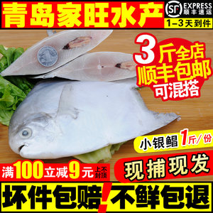 【舟山小鲳鱼价格】最新舟山小鲳鱼价格\/批发