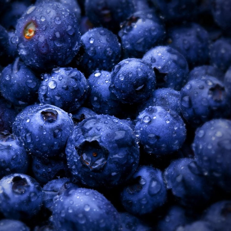 蓝色的水果大全 背景图片