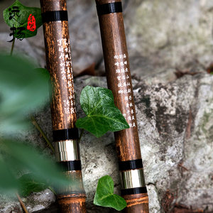 【萧乐器初学入门图片】萧乐器初学入门图片大