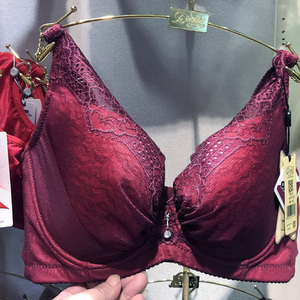 【diztie/戴芝蒂文胸】diztie/戴芝蒂品牌文胸特卖_diztie/戴芝蒂品牌