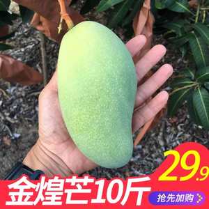 【百色芒果大青芒价格】最新百色芒果大青芒价