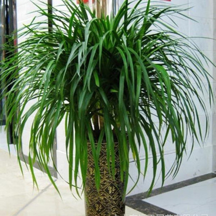 菲总统再度发声：对“碰瓷”题目的态度或将影响双边联系