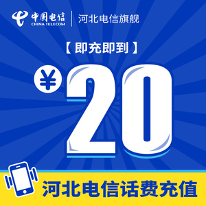 河北电信话费图片