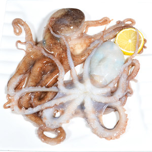 青岛小八爪鱼海鲜水产冷冻迷你 span class=h>八带鱼 /span>小章鱼足