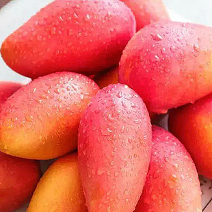 【甘福园】越南青皮芒果 新鲜水果玉芒8斤包邮非攀枝花凯特大芒果