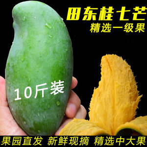 【百色芒果大青芒价格】最新百色芒果大青芒价