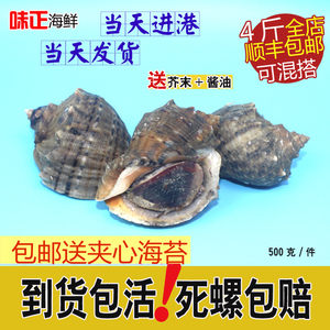 【连云港鲜活海鲜价格】最新连云港鲜活海鲜价