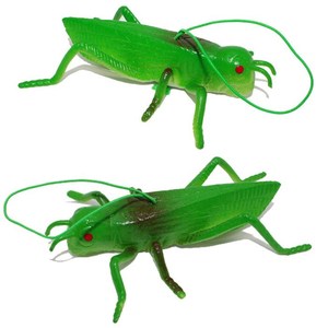 仿真蝗虫模型软胶昆虫蚂蚱儿童玩具蜘蛛假眼睛蛇玩具橡胶动物道具