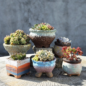 【多肉组盆花盆】_多肉组盆花盆品牌/图片/价格 - q友网