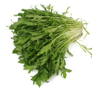 苦叶生菜/苦苣500克无公害新鲜蔬菜色拉 菜市场生鲜超市沃鲜汇