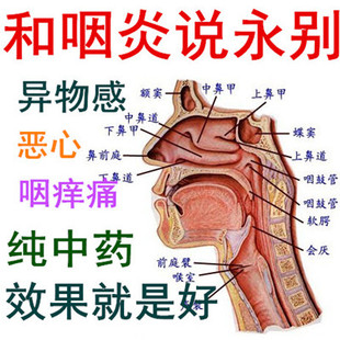 咽喉异物感特效药_治疗咽喉有异物感最有效的药_咽喉异物感一招见效