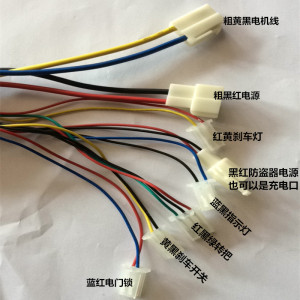 品牌名稱: 小海豚迷你電動車控制器